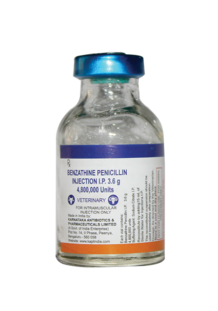 Paracetamol ibuprofen penicillin Antibiotics